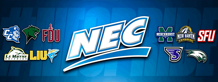 NEC Conference Apparels CCSU Blue Devils Football Jersey